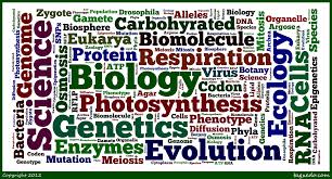 Biology word play.jpg