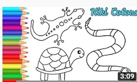 Drawing Reptiles.jpg